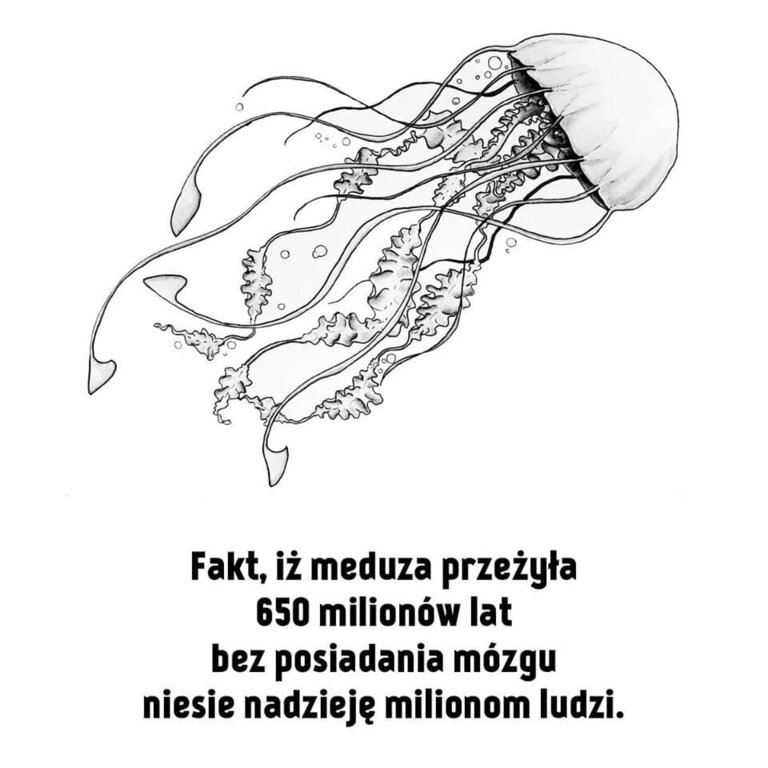 meduza i musk.jpg