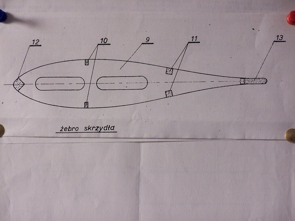 Profil skrzydła Akrobat.JPG