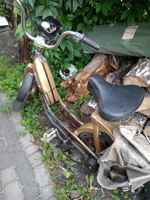 IMG20210714053614 (1).jpg