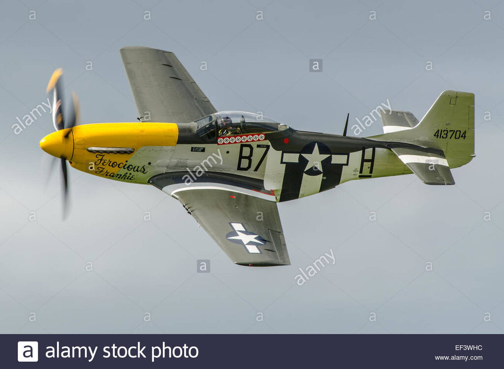 a-p-51-mustang-named-ferocious-frankie-and-owned-by-the-old-flying-EF3WHC.jpg