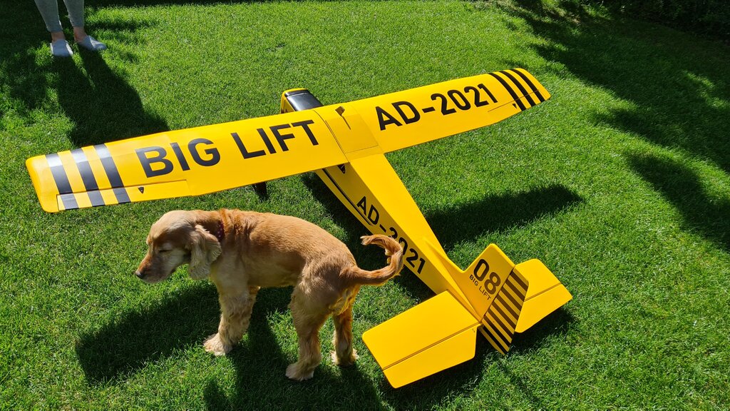 biglift 1.jpg