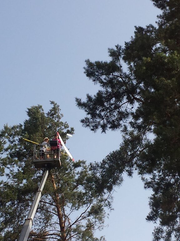 WhatsApp Image 2022-06-21 at 19.33.36.jpeg