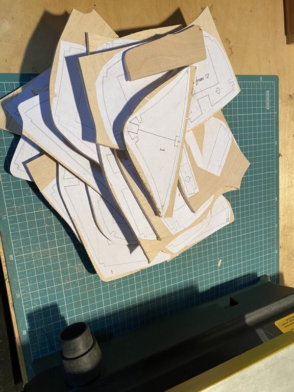 IMG_3128 Duży.jpeg