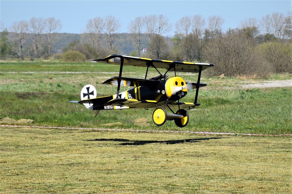 DSC_0274 — kopia.jpg