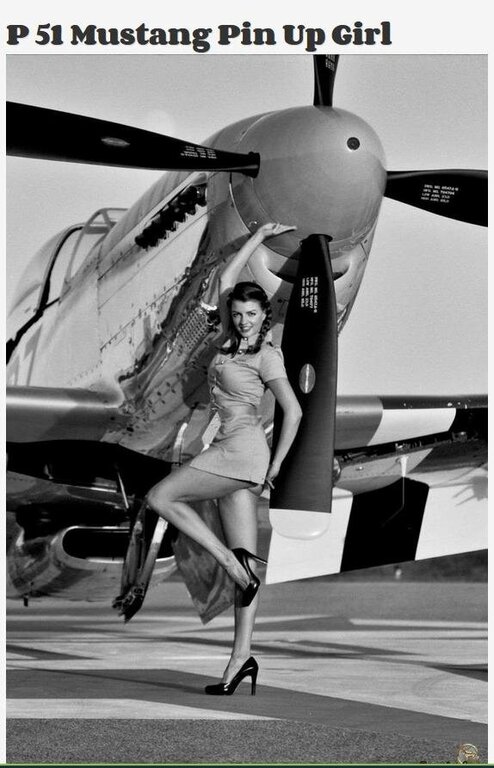 1223177231_P51pinupgirl.thumb.jpg.3dccecdad6fd318b2a50b1b1d8f34aff.jpg