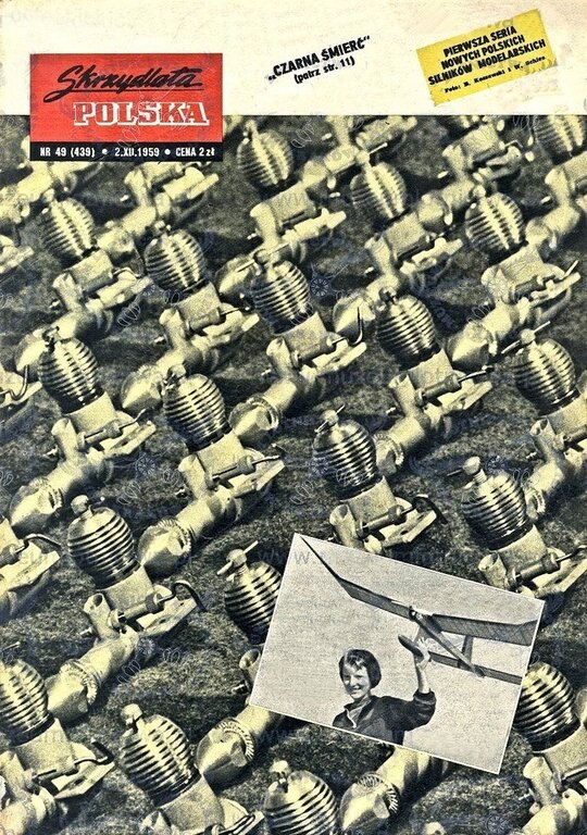 skrzydlata polska -jaskółka 1,5.jpg