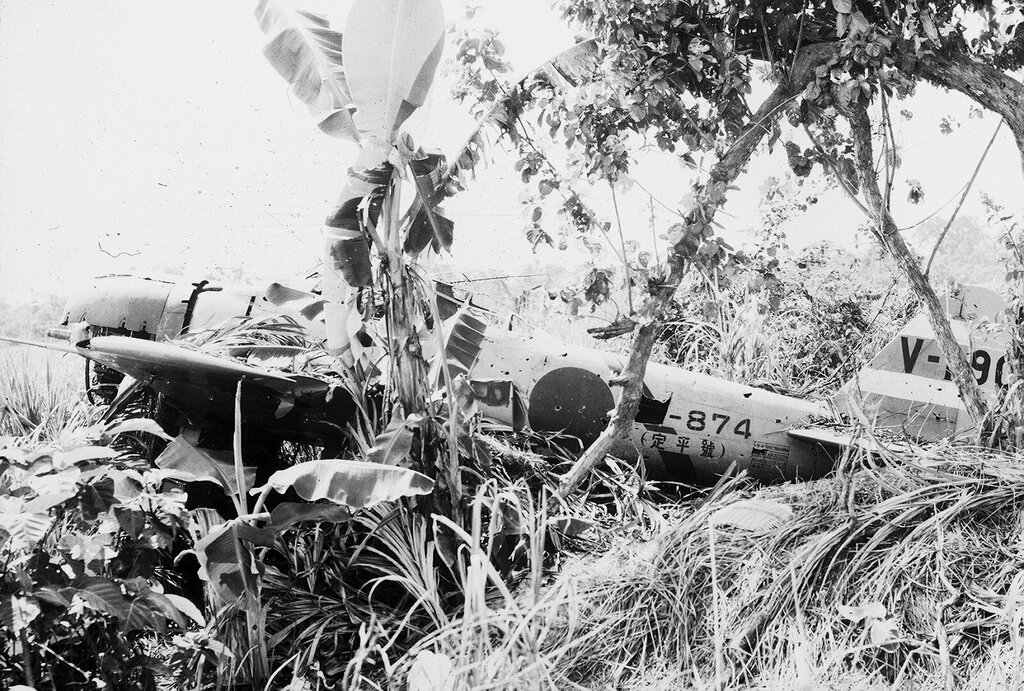Mitsubishi-A6M3-32-Zero-JNAF-2nd-NAG-V-190-HK-874-Buna-1942-04.jpg