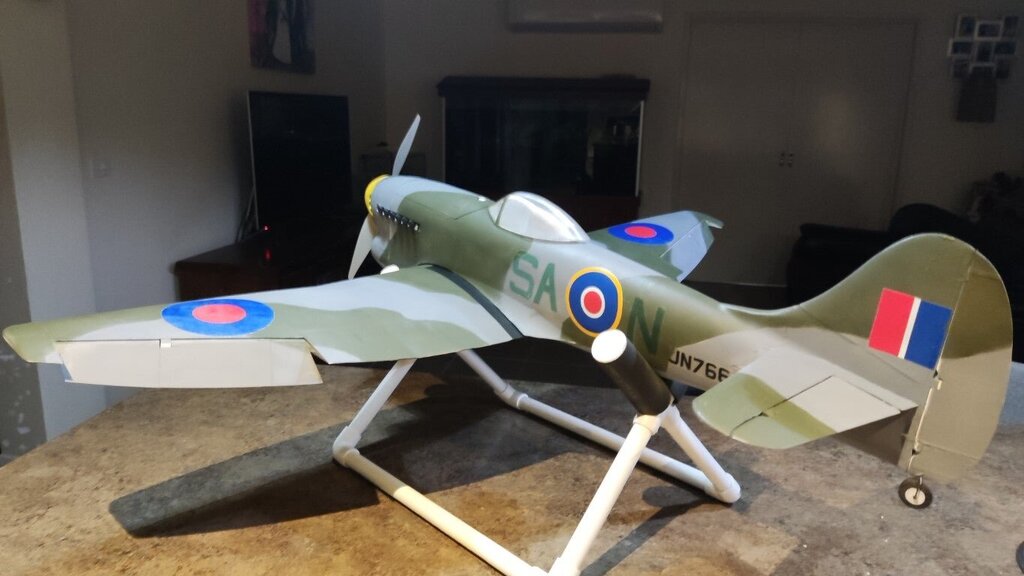 IMG_20241026_225650 (Medium).jpg