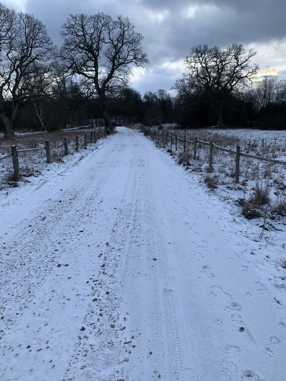 WhatsApp Bild 2025-01-04 kl. 16.21.04_21c517d2.jpg