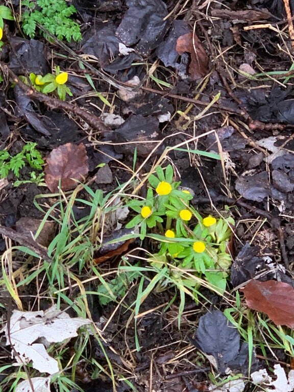 WhatsApp Bild 2025-01-28 kl. 10.13.15_e2c86f10.jpg