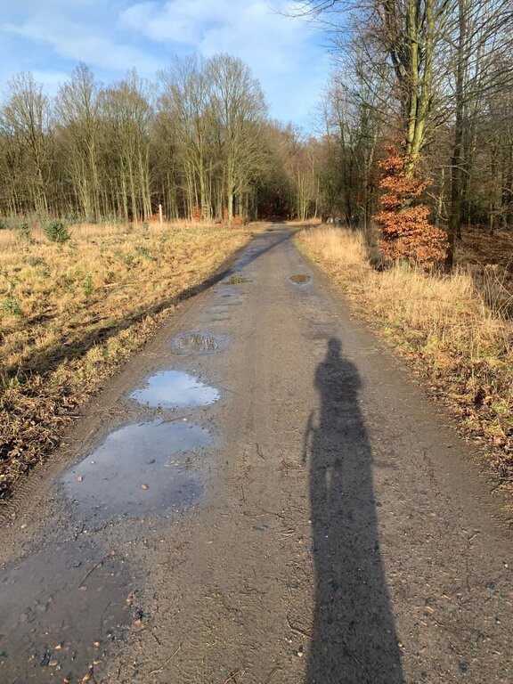 WhatsApp Bild 2025-01-28 kl. 15.02.20_cf940cc5.jpg