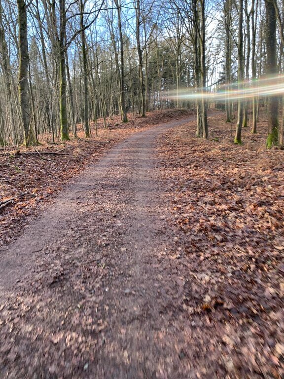 WhatsApp Bild 2025-01-28 kl. 15.02.22_aed375c7.jpg