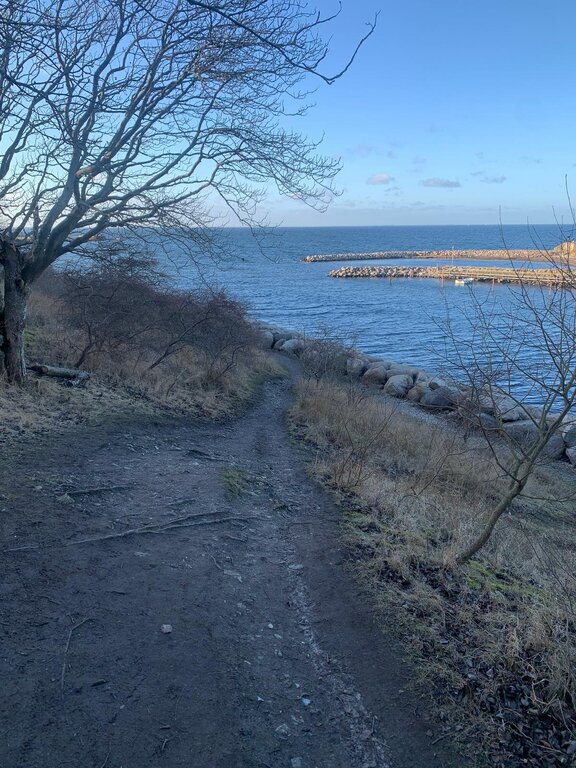 WhatsApp Bild 2025-02-05 kl. 17.40.20_bf5d9b8c.jpg