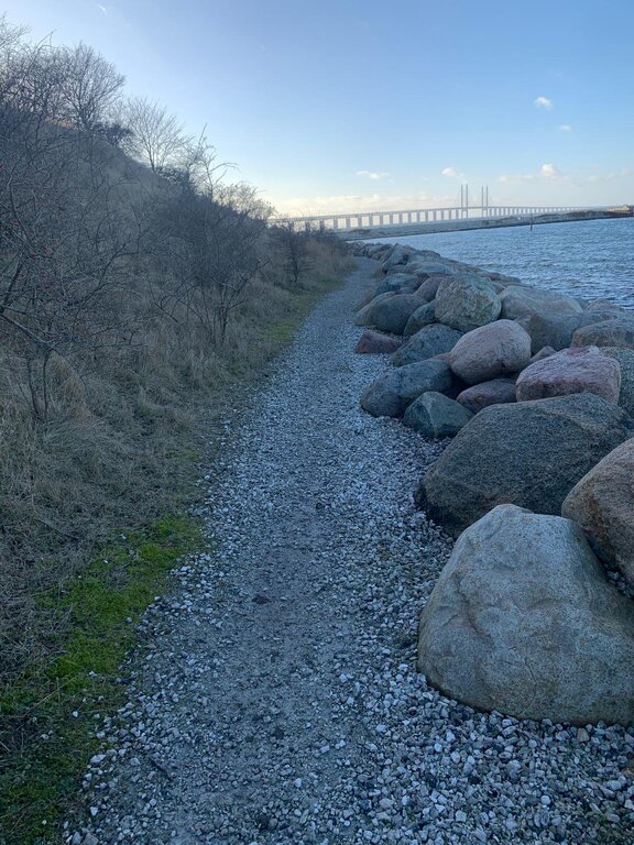 WhatsApp Bild 2025-02-05 kl. 17.40.20_c355aa4d.jpg