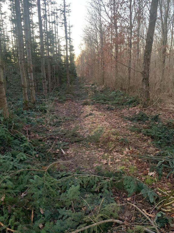 WhatsApp Bild 2025-02-06 kl. 18.07.56_431d8250.jpg