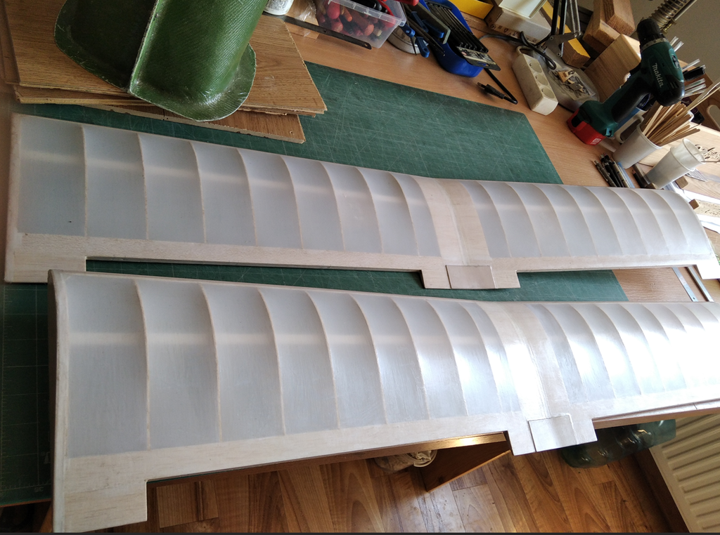 Skrzydła Trenerek.png