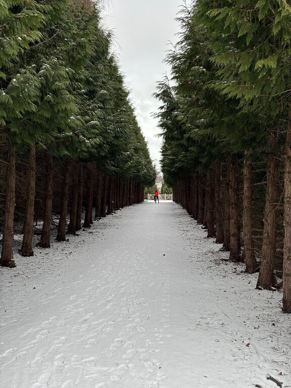 WhatsApp Image 2026-01-04 at 14.14.55 (1).jpeg