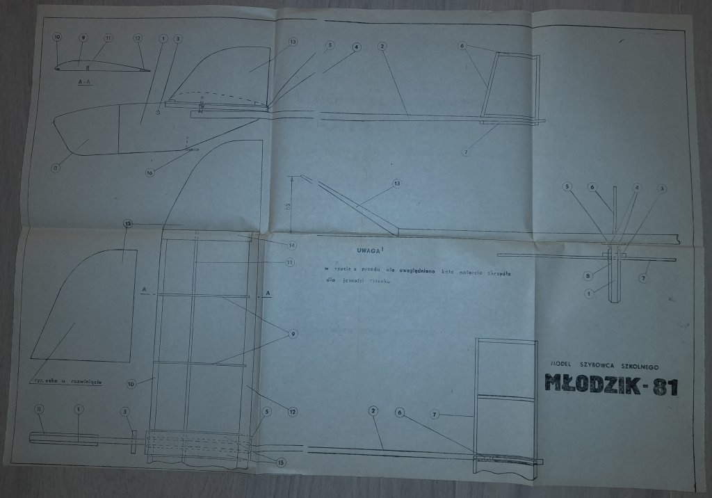 Młodzik-81_1.jpg